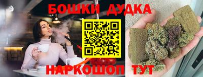 крисы Моздок